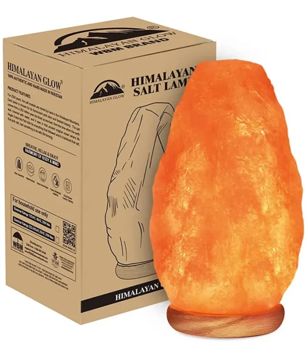Himalayan Glow Small Ionic Natural Salt Crystal Lamp