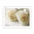 100 Stamps 5 Sheets