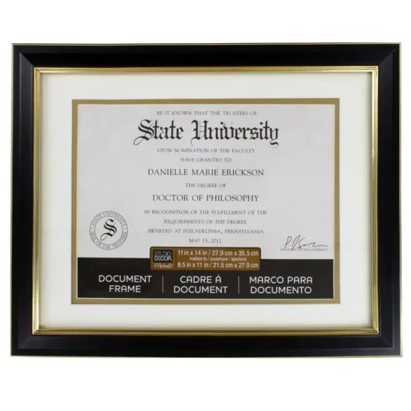 Black & Gold 8.5" x 11" Document Frame with Mat by Studio Decor | Michaels