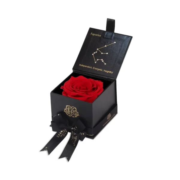 Eternal Roses Astor Gift Box - Aquarius/Scarlet