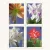 100 Stamps 5 Books
