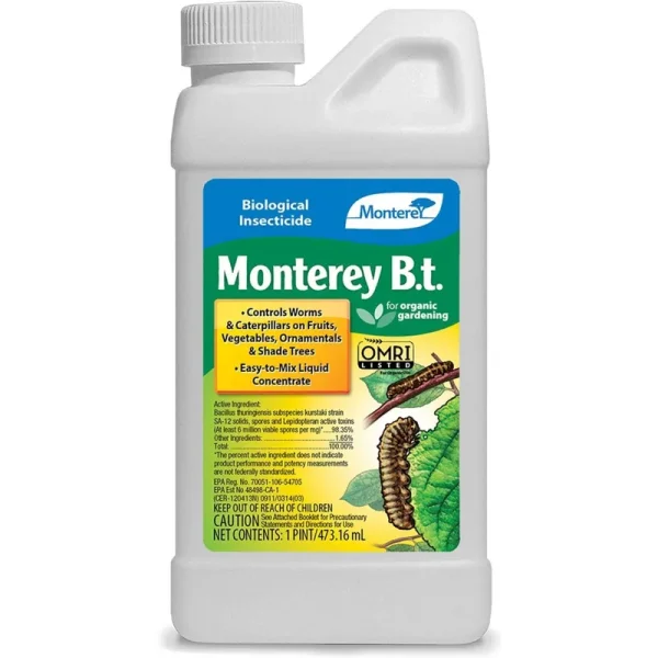 Monterey B.T.