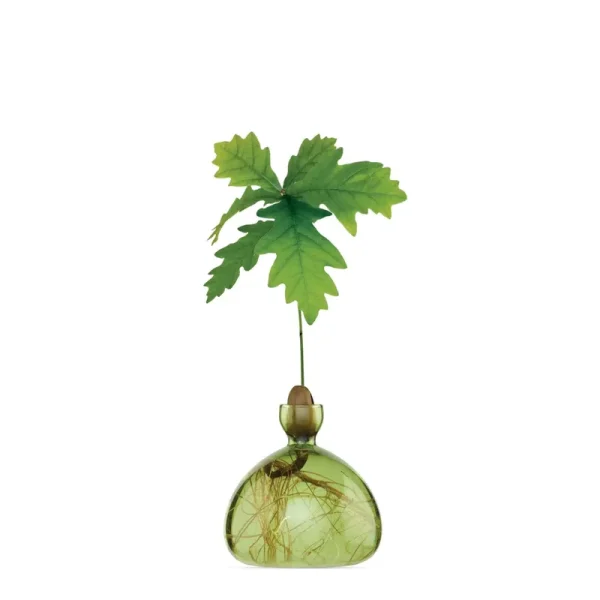 Ilex Studio - Acorn Vase - Grass Green