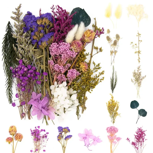 Vignee Real Dried Pressed Leaf Flowers-Multiple Colorful Pressed Flowers Daisies for Craft Resin Jewelry Making Art Craft DIY(Violet)