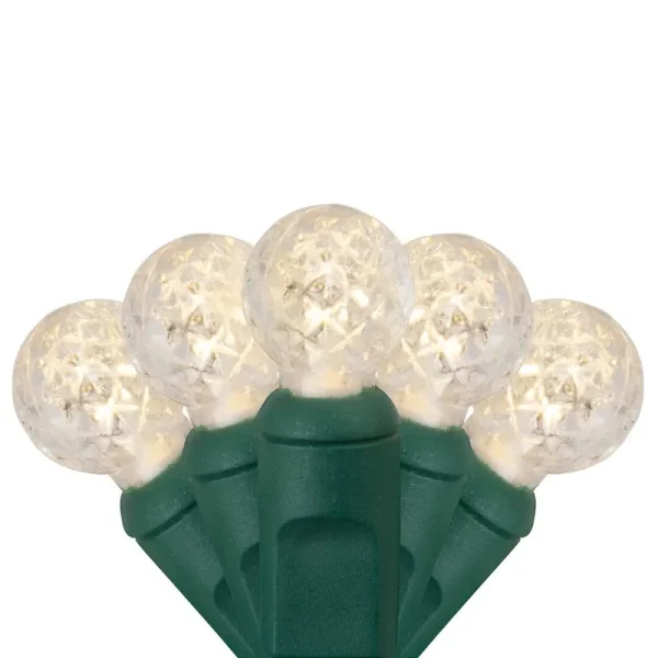 Wintergreen Lighting 70 Light String LED Lights; Warm White