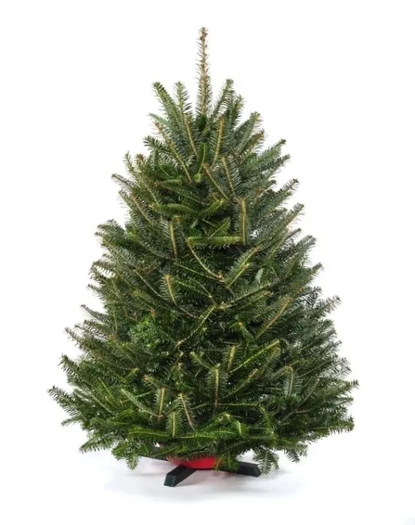 Tabletop Holiday Tree-36" Tall