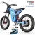 Blue 30AH