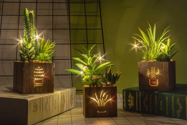 BEGONDIS Set of 3 Artificial Succulents with LED Lights in Wooden Box,