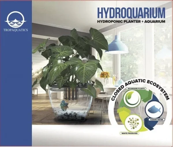 Hydroquarium - Tropaquatics Hydroponic Planter and Aquarium, Clear