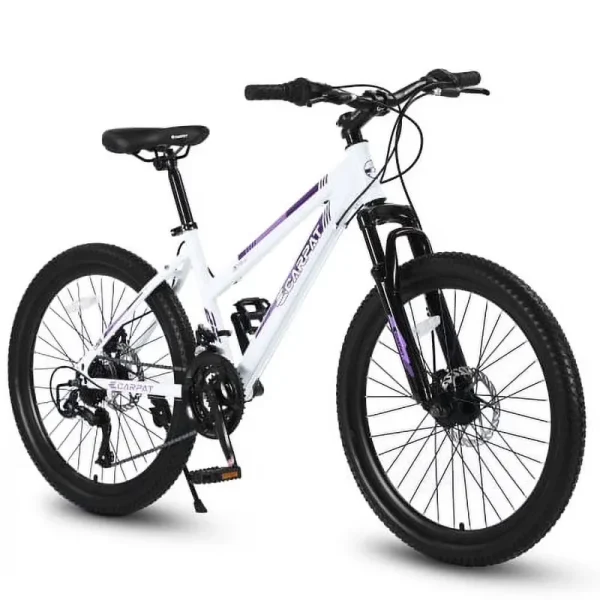 Raistyw Mountain Bikes for Adult, 24 in Womens Bicycle Shimano 21 Speed with Dual Disc Brakes, Pink