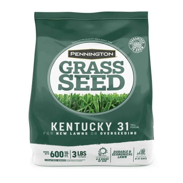 Pennington Kentucky 31 Tall Fescue Grass Seed, 3 lbs
