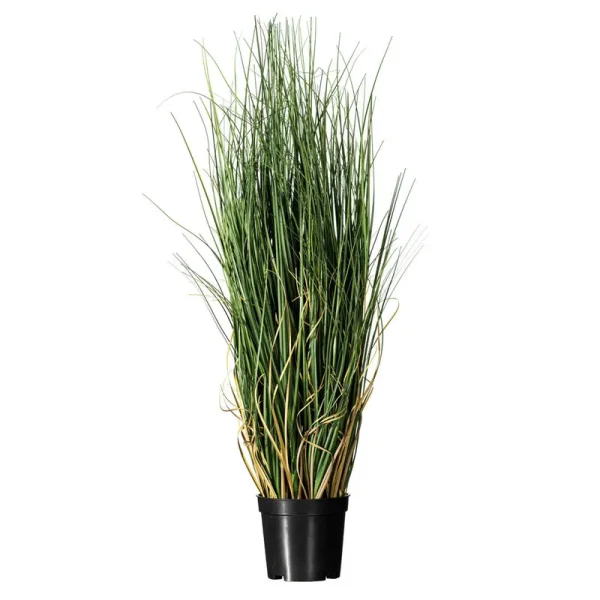 PVC Artificial Potted Green Curled Grass Size: 24" H x 12" W x 12" D