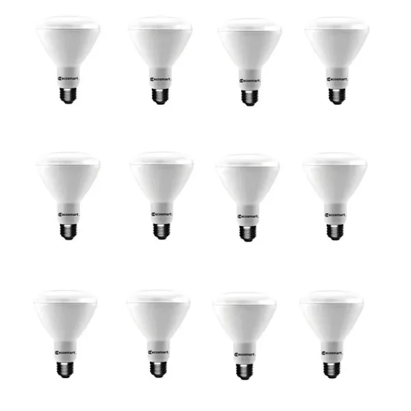 Ecosmart 65-Watt Equivalent BR30 Dimmable Energy Star LED Light Bulb Soft White (12-Pack)