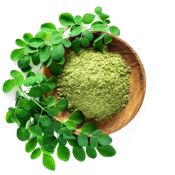 Moringa Seeds for Planting - 1 oz ~110+ Seeds - Grow Moringa Seeds to Eat - Moringa Plant Tree Seedlings - Experience The benefits of The Tree of