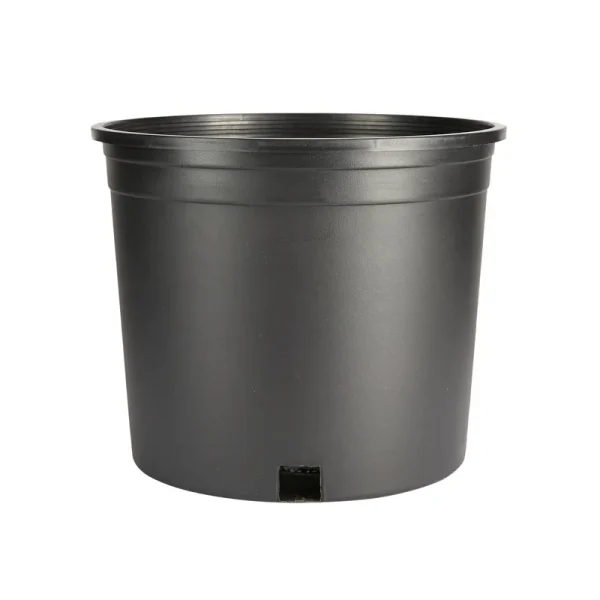 Style Selections 10.25-in W x 8.8-in H Black Plastic Hanging Nursery Planter