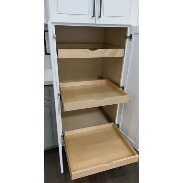 Daiona Slide Shelve Pull Out Sliding Drawer Cabinet Organizer - DIY Loon Peak Size: 3" H x 33" W x 21" D