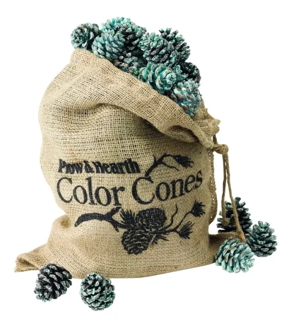 Fireplace and Firepit Color Cones, Festive Fun Rainbow Flame Changing Pine Cones, Firepit Campfire Hearth Wood Burning Accessories for Holidays or