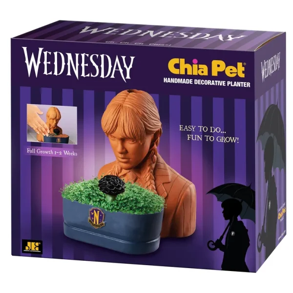 Chia Pet Planter - Wednesday