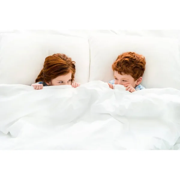 Lavish Comforts The Ultimate Winter Comforter Hotel Luxury Down Alternative Comforter Duvet Insert with Tabs Washable and Hypoallergenic (King)