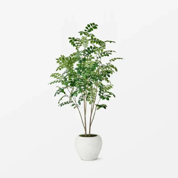 Moringa Artificial Tree Green - Threshold Designed with Studio McGee