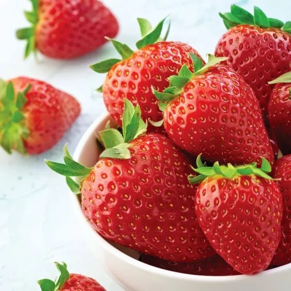 Van Zyverden Full Sun Red Strawberry All Star Bare Plant Root - 8 ct