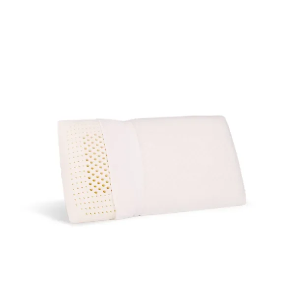 eLuxury Natural Latex Foam Bed Pillow with Cover, Standard