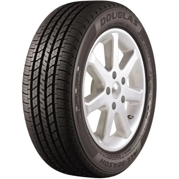 All-Season 225/55R18 98H All-Season Tire