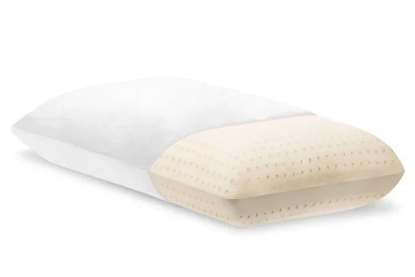 Eco Terra Natural Latex Pillow, Standard (24" x 15") / Solid