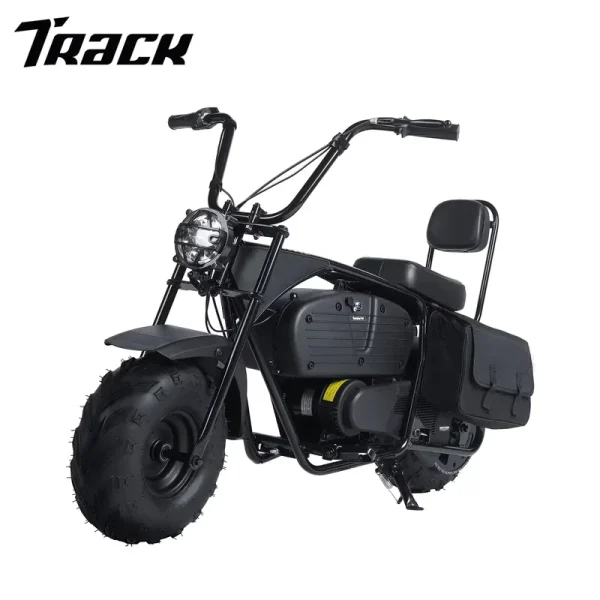 Track Seven 36V Powered Motorcycle for Kids, 1000W Electric Kids Dirt Bike, Max Speed to 22 MPH, Electric Mini Bike with Large Storage, Headlights, up to 185 lb, Age 8+