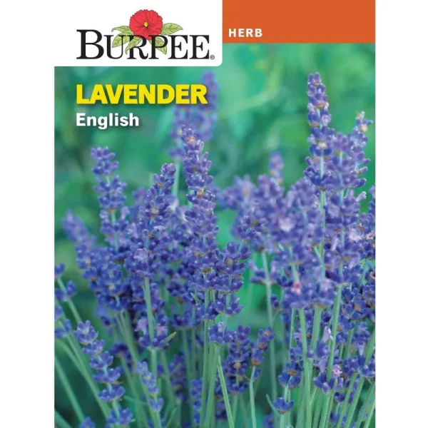 Burpee English Lavender Herb Seed, 1-Pack, Brown