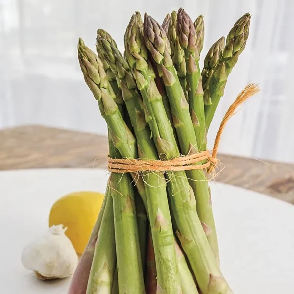 Jersey Knight Hybrid Asparagus