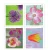 100 Stamps 5 Books