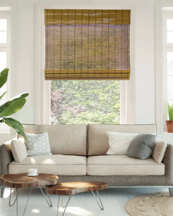 Chicology Cordless Bamboo Roman Shades, Size: 31 inch x 64 inch, Brown
