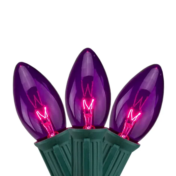 Northlight Set of 25 Transparent Purple C9 Christmas Lights 12" Spacing - Green Wire