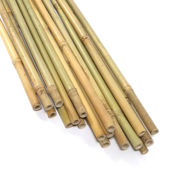 Ecostake 5 ft. Natural Bamboo Eco-Friendly Garden Plant Stakes for Climbing Support for Tomatoes, Trees, Beans, (10-Pack)