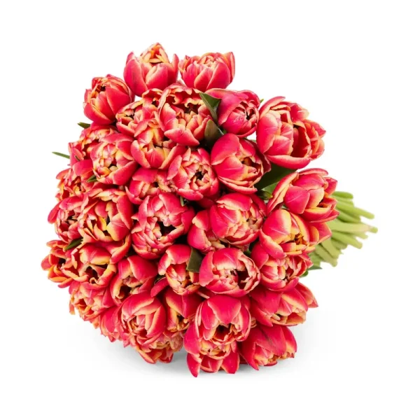 Bloomsybox Pink Peony Tulips