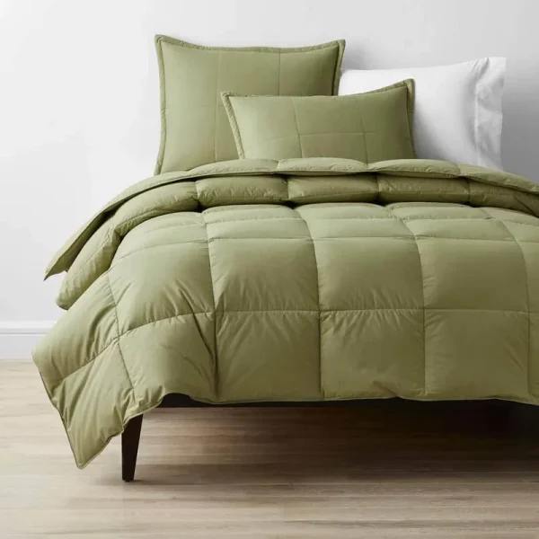 Lacrosse LoftAIRE Sage Light Warmth Recycled Fill Queen Alternative Down Comforter
