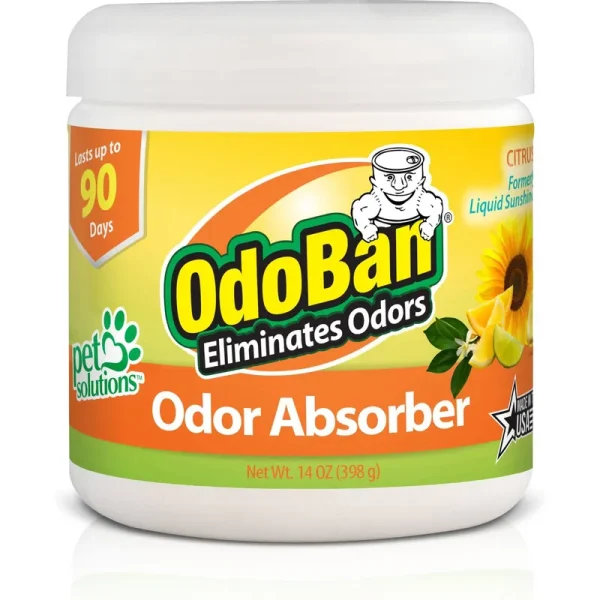 OdoBan Solid Odor Absorber Citrus, 14 oz