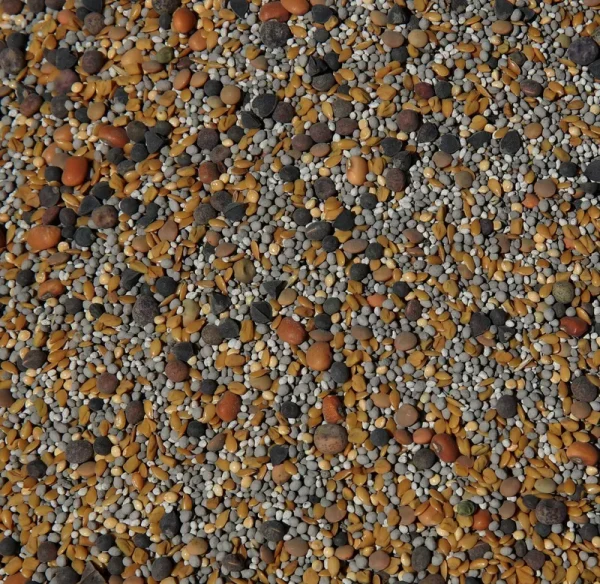 Cannaisseur No-Till Cover Crop 13-Seed Mix (1 lb Bag): 50% Clovers Plus Fenugreek Vetch Flax Cowpeas Buckwheat Forage Peas Millet Lentils Crimson Clov