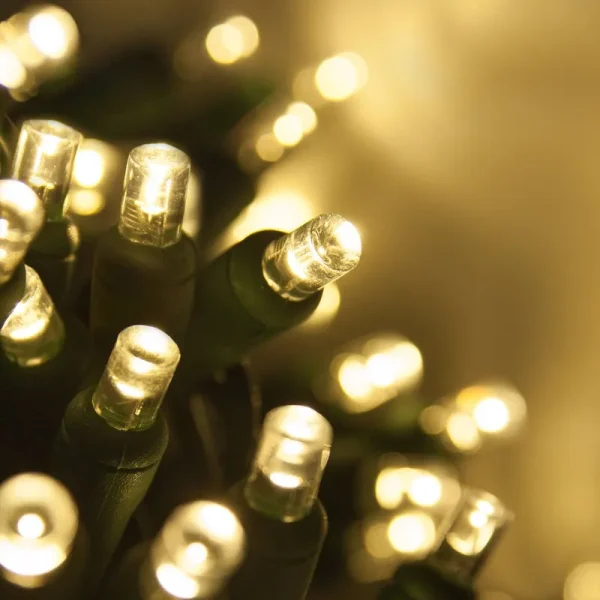 70 5mm Warm White LED Christmas Lights, Green Wire, 4" Spacing