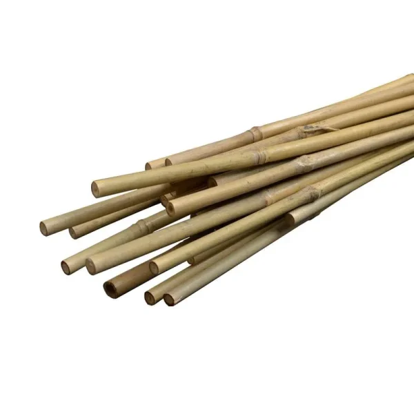 Orbit 72-in Wood Tree Stake | SMG13328