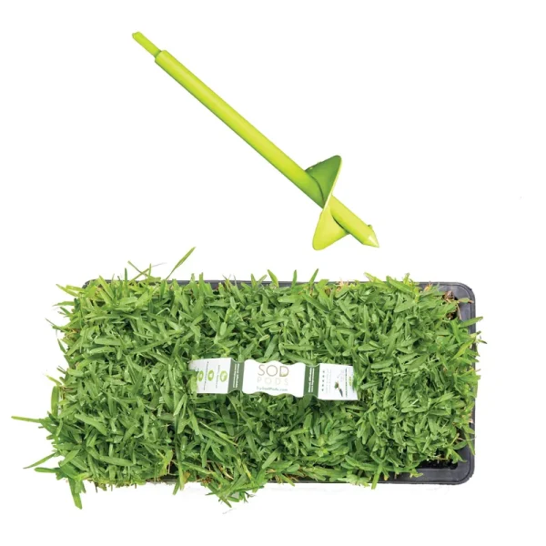 St Augustine Seville Sod/Grass Plugs 64-Count/SP Power Planter Bundle