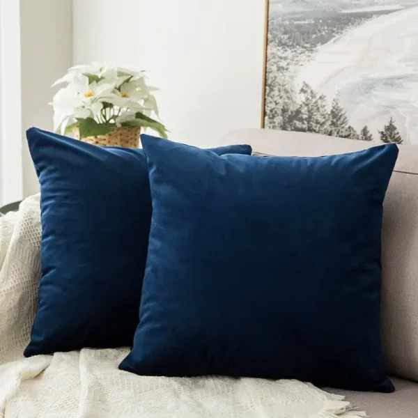 MIULEE Pack of 2, Velvet Soft Soild Decorative Square Throw Pillow Covers Set Cushion Case for Sofa Bedroom Car 18 x 18 inch 45 x 45 cm
