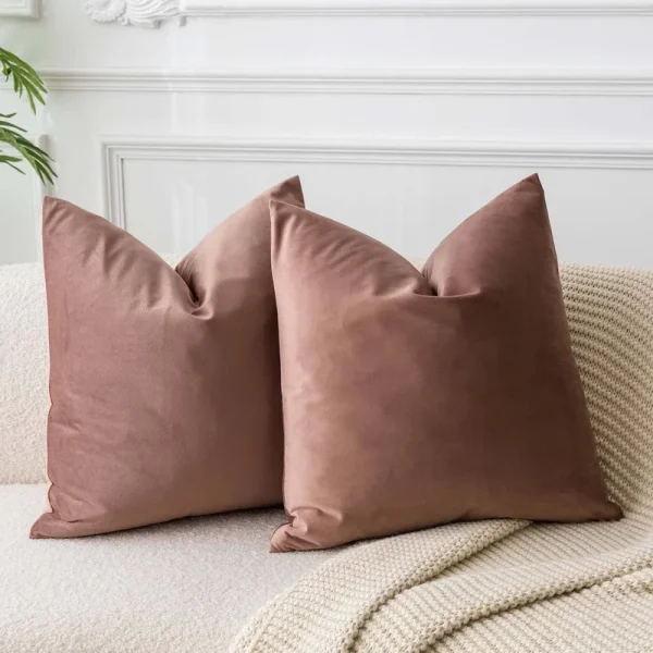 JUSPURBET Jam Soft Velvet Throw Pillow Covers 22x22 Set of 2,Decorative Solid Cushion Cases for Couch Sofa Bed