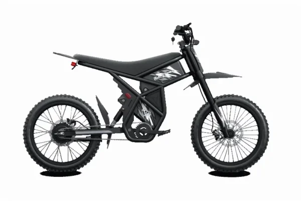 Riding'Times 2400W Motor GT73 Electric Dirt Bike for Adults