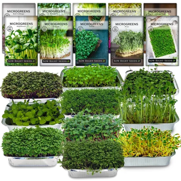 Large Microgreen Sampler Kit with Trays and Blackout Lids for Growing
