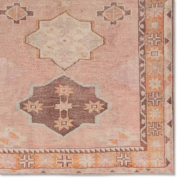 Debary Machine Washable Performance Orange/Pink/Brown Rug Birch Lane Rug Size: Rectangle 4' x 8'