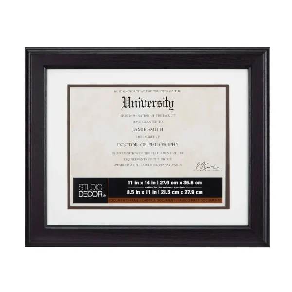 Brown Document Frame, 11" x 14" with 8.5" x 11" Double Mat by Studio Decor | Michaels