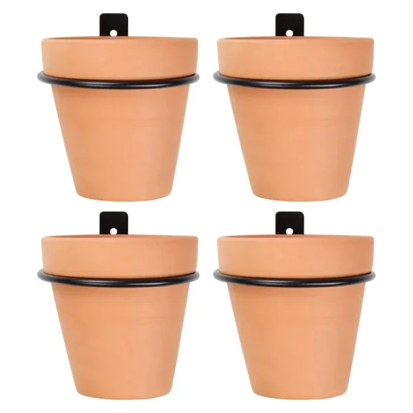 VEVLU 3 Pack Set Wall Planters,Modern Round Glass Wall Planter Succulent Planter Circle Iron Hanging Planter Vase for Herb,Small Cactus Perfect for