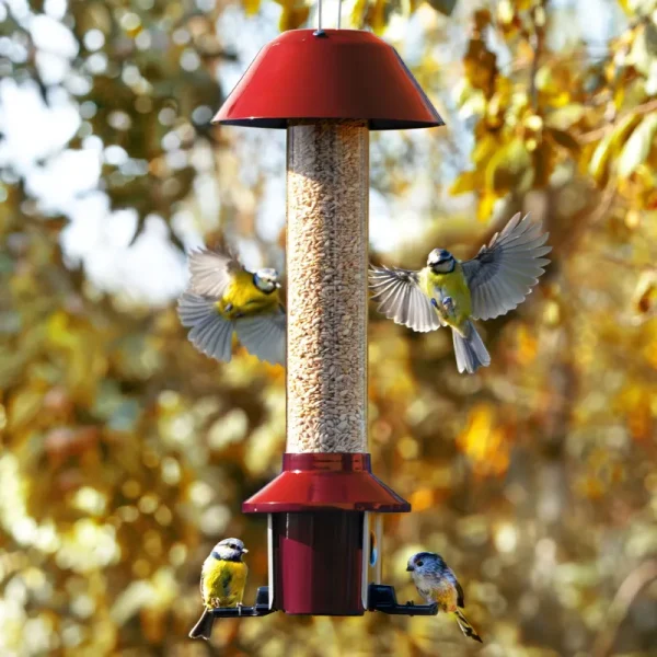 Roamwild PestOff Red Squirrel Proof Cardinal Bird Feeder Mixed Seed